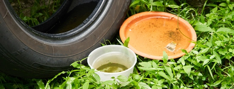 Annual Maintenance Contract Dubai